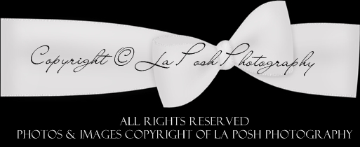 La Posh Copyright